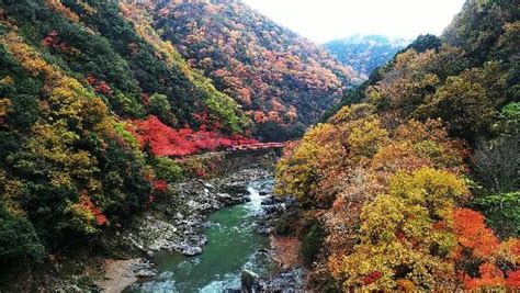 亀岡 風俗|京都市・亀岡・京都南インターの風俗 おすすめ店一覧｜口コミ風俗 